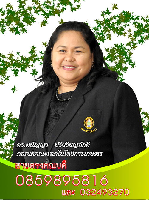 Ph.D.Manunya Preyavichyapugdee